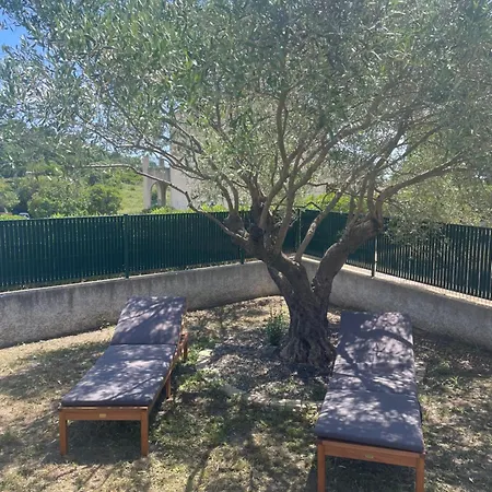 Vakantiehuis Les Oliviers Aléria