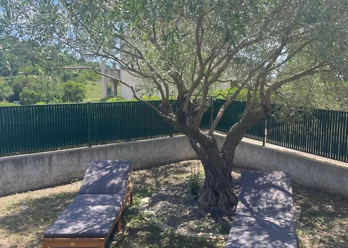 Casa vacanze Les Oliviers Aleria (Corsica)